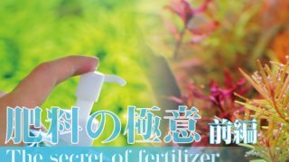Thumbnail of post image 127